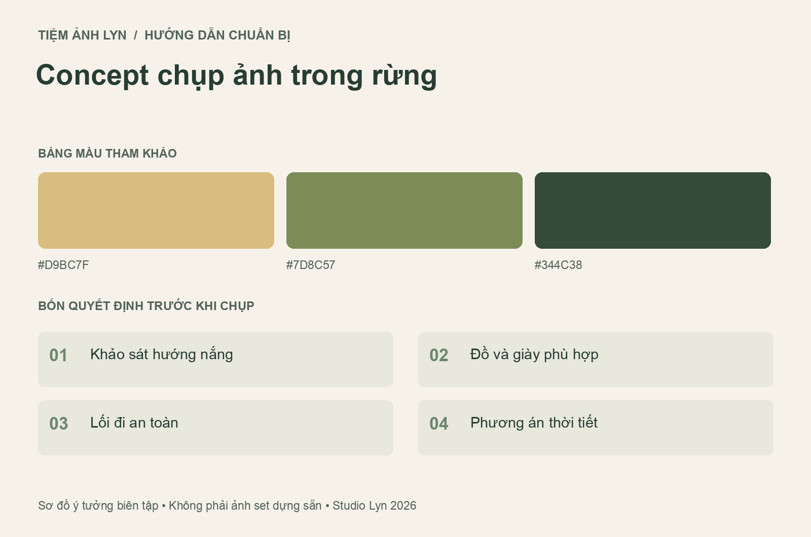 Sơ đồ bảng màu và các bước chuẩn bị concept chụp ảnh trong rừng